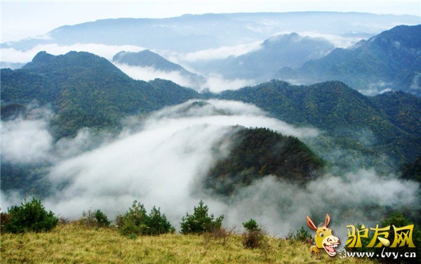 紫柏山景区4.jpg